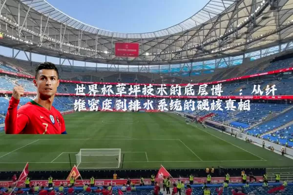 世界杯草坪技术的底层博弈:从纤维密度到排水系统的硬核真相
